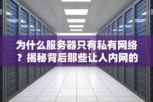 为什么服务器只有私有网络？揭秘背后那些让人内网的真相！