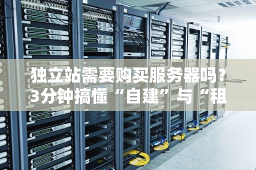 独立站需要购买服务器吗？3分钟搞懂“自建”与“租用”的终极选择！