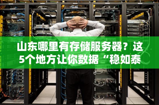 山东哪里有存储服务器？这5个地方让你数据“稳如泰山”！