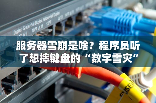 服务器雪崩是啥？程序员听了想摔键盘的“数字雪灾”大揭秘！