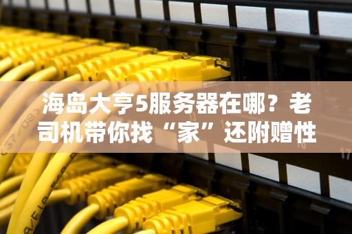 海岛大亨5服务器在哪？老司机带你找“家”还附赠性能优化秘籍！