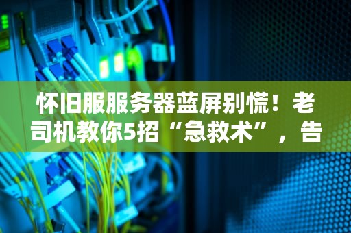 怀旧服服务器蓝屏别慌！老司机教你5招“急救术”，告别卡顿崩溃！