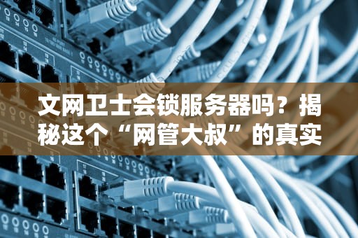 文网卫士会锁服务器吗？揭秘这个“网管大叔”的真实操作！
