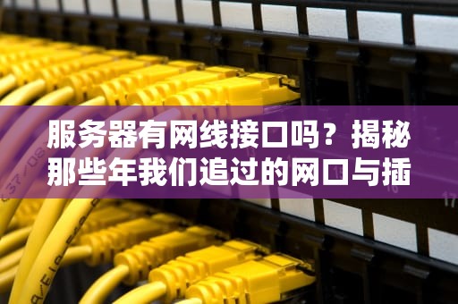 服务器有网线接口吗？揭秘那些年我们追过的网口与插头
