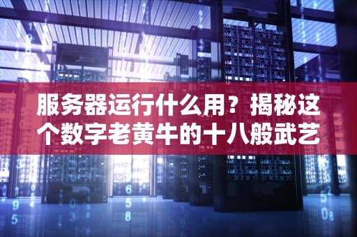 服务器运行什么用？揭秘这个数字老黄牛的十八般武艺！