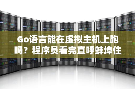 Go语言能在虚拟主机上跑吗？程序员看完直呼蚌埠住了！