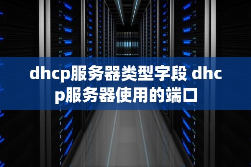 dhcp服务器类型字段 dhcp服务器使用的端口