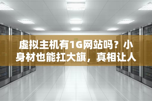 虚拟主机有1G网站吗？小身材也能扛大旗，真相让人笑出腹肌！