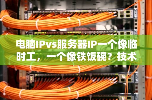 电脑IPvs服务器IP一个像临时工，一个像铁饭碗？技术老司机带你吃透区别！