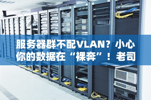 服务器群不配VLAN？小心你的数据在“裸奔”！老司机详解VLAN配置的必要性与骚操作