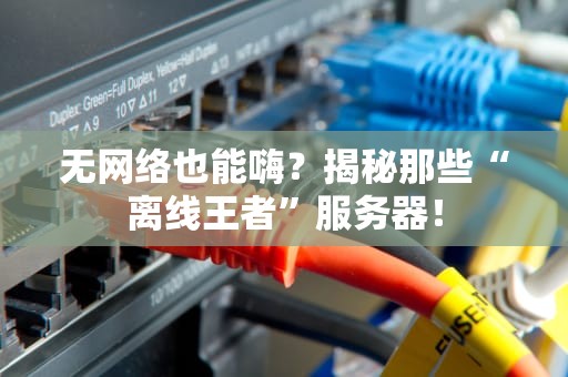 无网络也能嗨？揭秘那些“离线王者”服务器！
