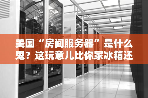 美国“房间服务器”是什么鬼？这玩意儿比你家冰箱还猛！