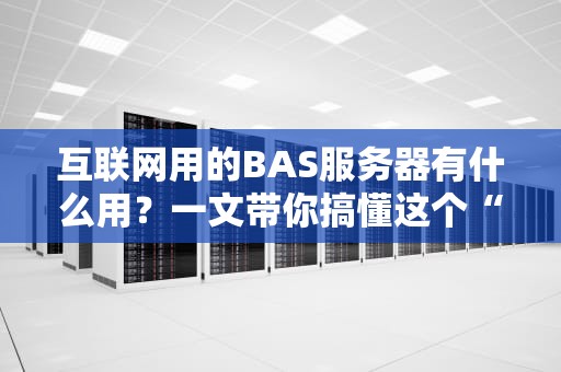互联网用的BAS服务器有什么用？一文带你搞懂这个“幕后大佬”！