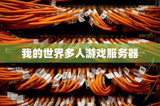 我的世界多人游戏服务器