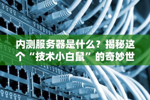 内测服务器是什么？揭秘这个“技术小白鼠”的奇妙世界！