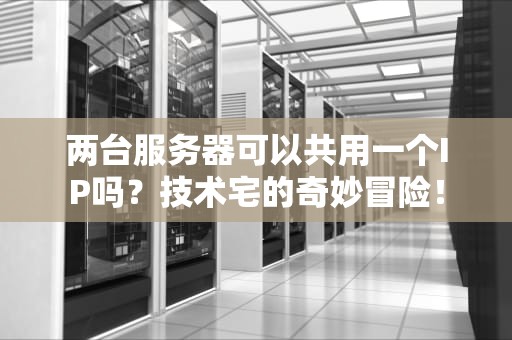 两台服务器可以共用一个IP吗？技术宅的奇妙冒险！