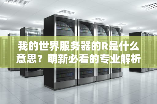 我的世界服务器的R是什么意思？萌新必看的专业解析+搞笑比喻！