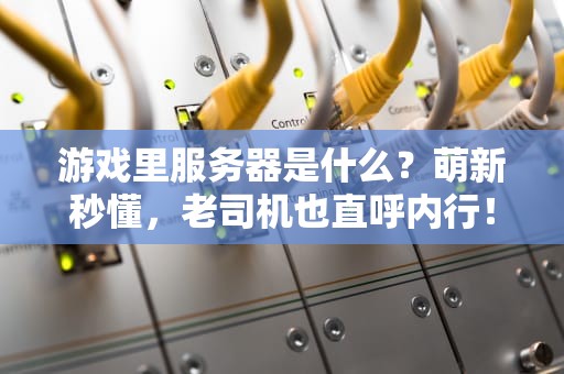 游戏里服务器是什么？萌新秒懂，老司机也直呼内行！