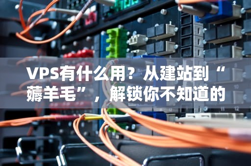 VPS有什么用？从建站到“薅羊毛”，解锁你不知道的10种骚操作！