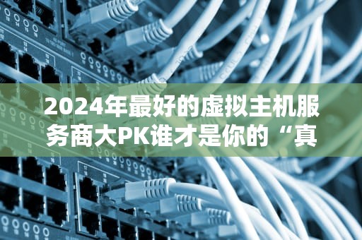 2024年最好的虚拟主机服务商大PK谁才是你的“真命天子”？