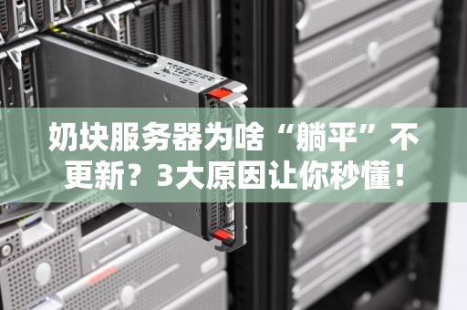 奶块服务器为啥“躺平”不更新？3大原因让你秒懂！