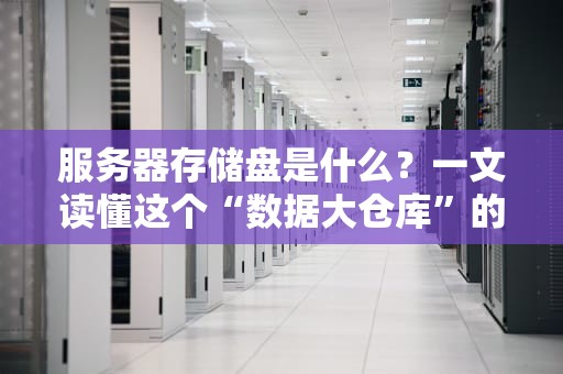 服务器存储盘是什么？一文读懂这个“数据大仓库”的奥秘！