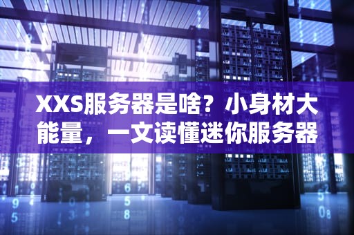 XXS服务器是啥？小身材大能量，一文读懂迷你服务器的逆袭之路！