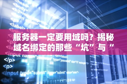 服务器一定要用域吗？揭秘域名绑定的那些“坑”与“香”