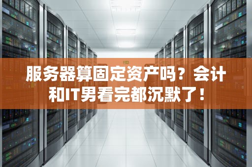 服务器算固定资产吗？会计和IT男看完都沉默了！
