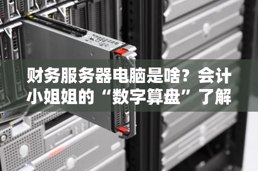 财务服务器电脑是啥？会计小姐姐的“数字算盘”了解一下！