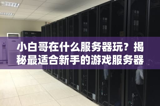 小白哥在什么服务器玩？揭秘最适合新手的游戏服务器选择指南！