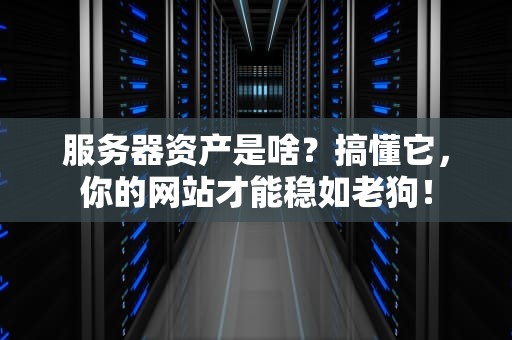 服务器资产是啥？搞懂它，你的网站才能稳如老狗！