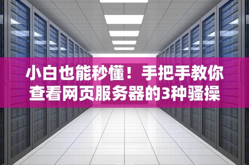 小白也能秒懂！手把手教你查看网页服务器的3种骚操作