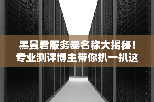 黑曼君服务器名称大揭秘！专业测评博主带你扒一扒这匹“黑马”的底裤