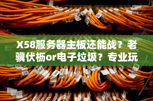 X58服务器主板还能战？老骥伏枥or电子垃圾？专业玩家带你揭秘！