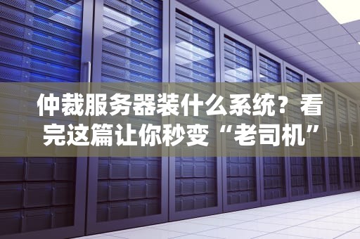 仲裁服务器装什么系统？看完这篇让你秒变“老司机”！