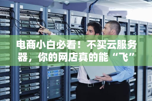 电商小白必看！不买云服务器，你的网店真的能“飞”起来吗？