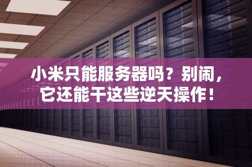 小米只能服务器吗？别闹，它还能干这些逆天操作！