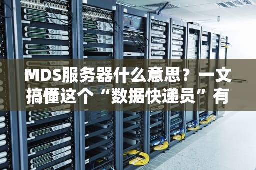 MDS服务器什么意思？一文搞懂这个“数据快递员”有多牛！