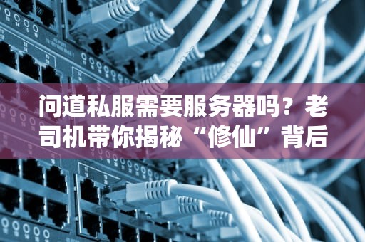 问道私服需要服务器吗？老司机带你揭秘“修仙”背后的硬件玄机！