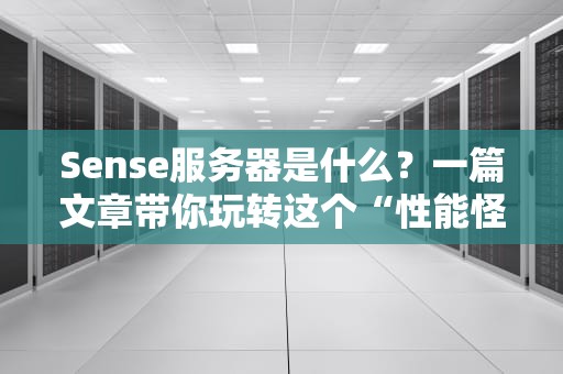 Sense服务器是什么？一篇文章带你玩转这个“性能怪兽”！