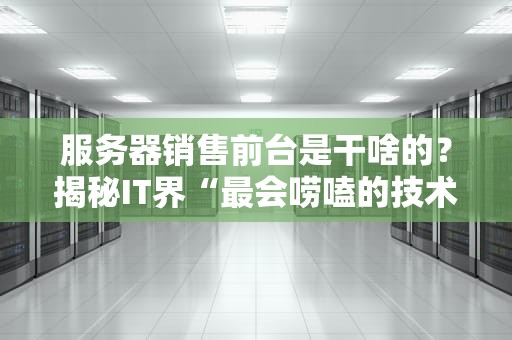 服务器销售前台是干啥的？揭秘IT界“最会唠嗑的技术员”日常！