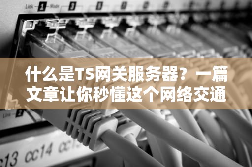 什么是TS网关服务器？一篇文章让你秒懂这个网络交通警察！