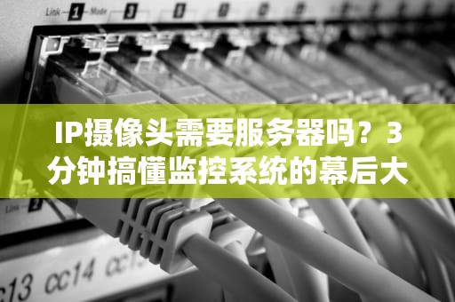 IP摄像头需要服务器吗？3分钟搞懂监控系统的幕后大佬！