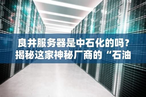 良井服务器是中石化的吗？揭秘这家神秘厂商的“石油背景”