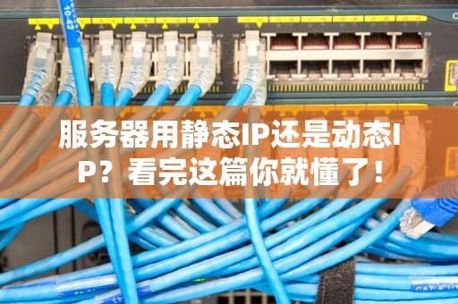 服务器用静态IP还是动态IP？看完这篇你就懂了！