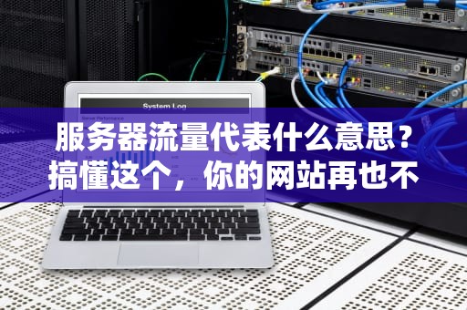 服务器流量代表什么意思？搞懂这个，你的网站再也不会“堵车”啦！