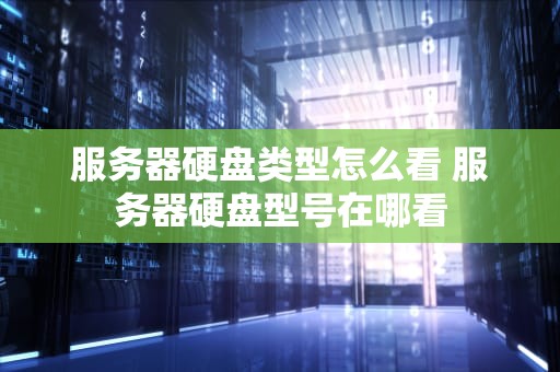 服务器硬盘类型怎么看 服务器硬盘型号在哪看