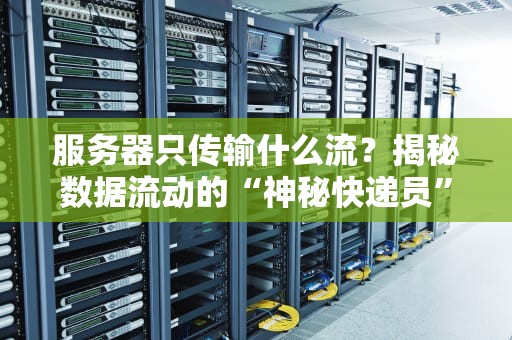 服务器只传输什么流？揭秘数据流动的“神秘快递员”