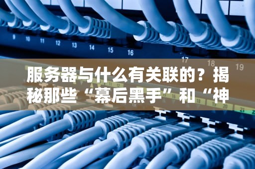 服务器与什么有关联的？揭秘那些“幕后黑手”和“神队友”的奇妙关系！